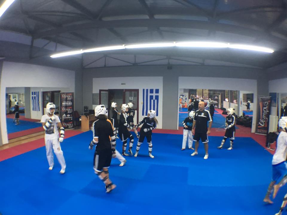 TAEKWONDO Παλμός