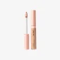 All-In-One Blurring Concealer THE ONE